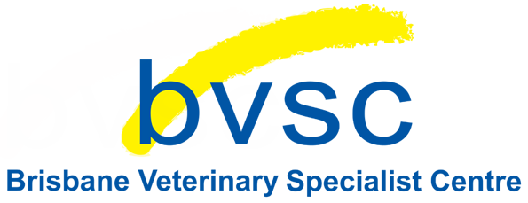 BVSC Logo VP