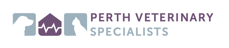 PVS Logo 2