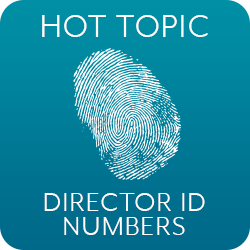 Director ID Numbers